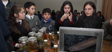Museo itinerante exhibirá las maravillas del fondo marino en los colegios de la región
